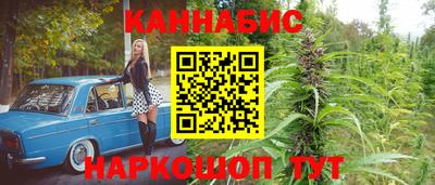 прущие крисы Будённовск
